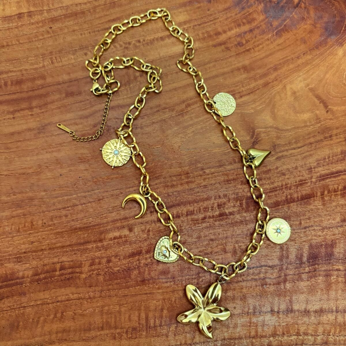 img_4047-2 Collier céleste