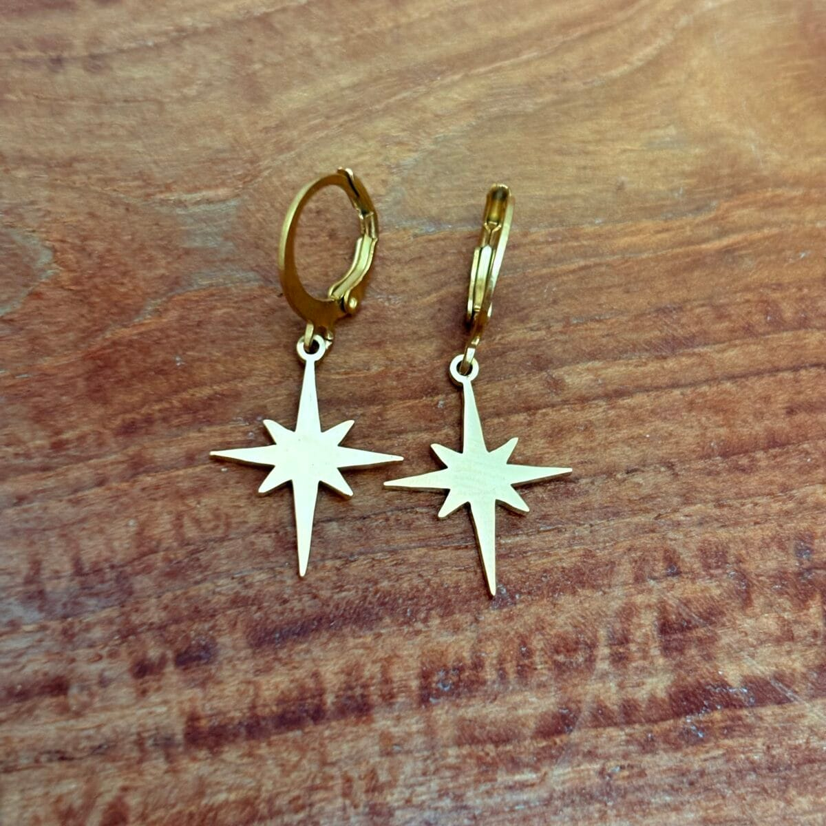 img_4077-2 Boucle d’oreille étoile dorée