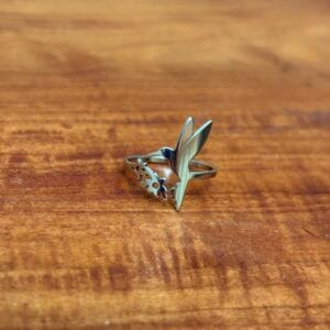 img_4082 Bague colibri