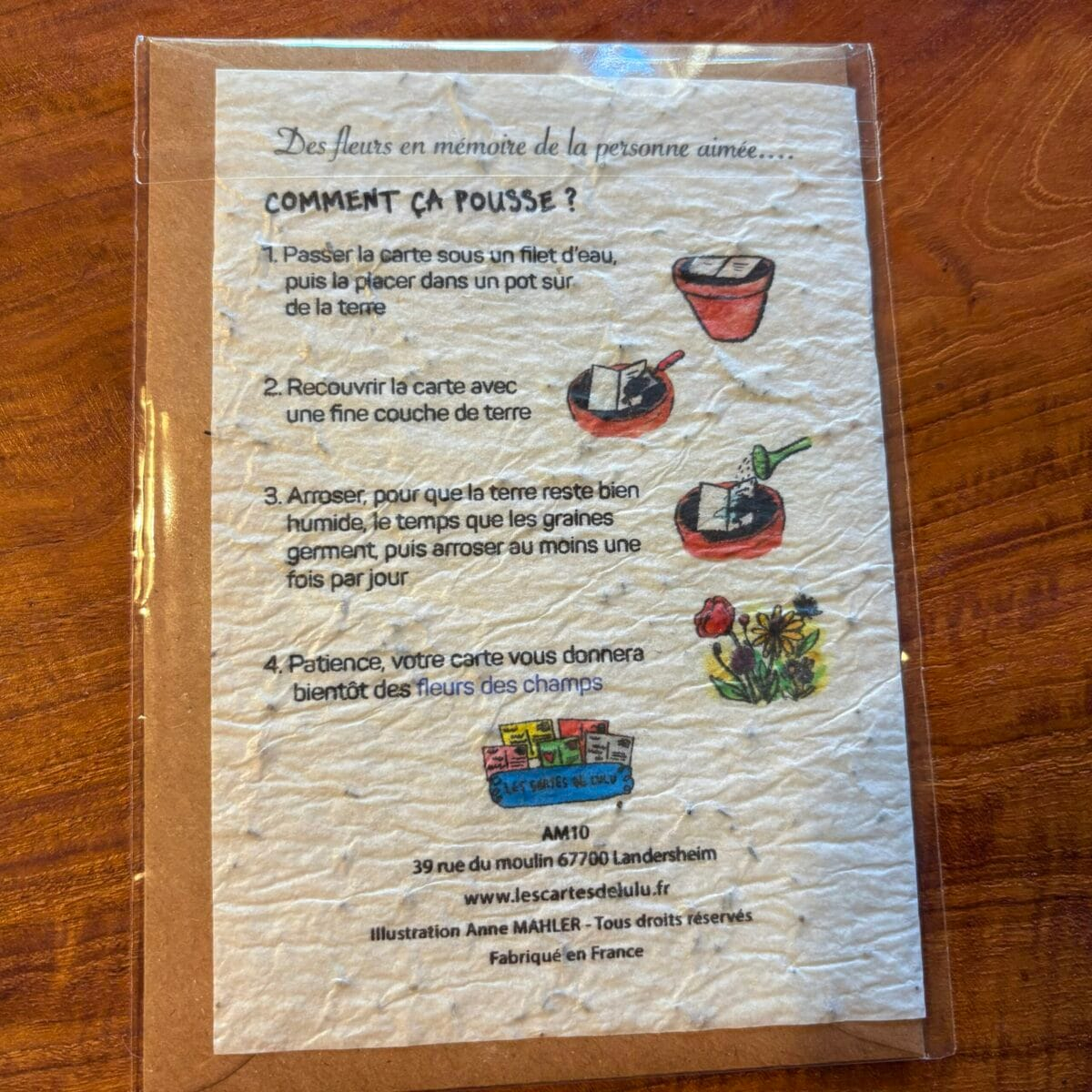 img_4796 Carte à planter « éternelle pensée »