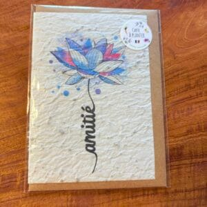 Carte à planter « amitié »