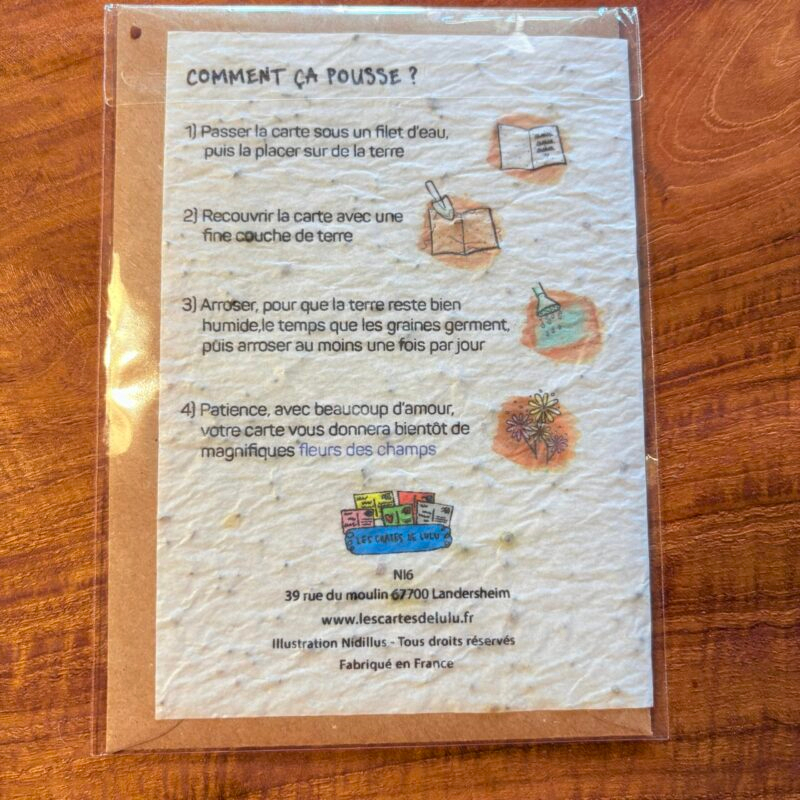 img_4800-2 Carte à planter « amitié »