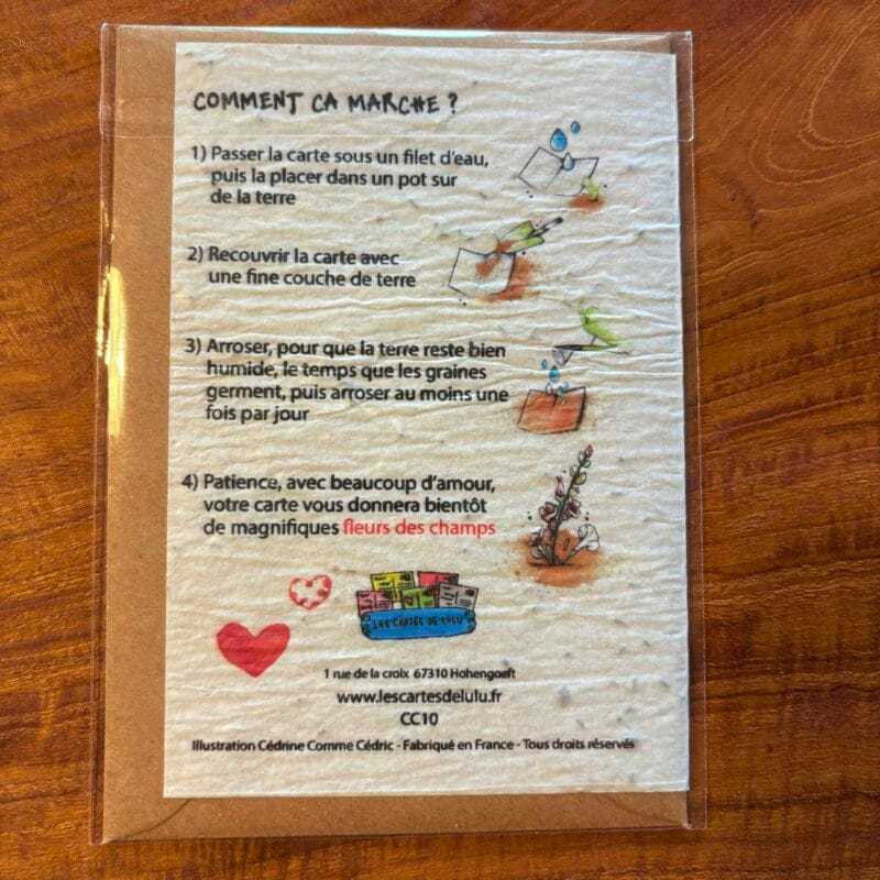 img_4804 Carte à planter « amour »