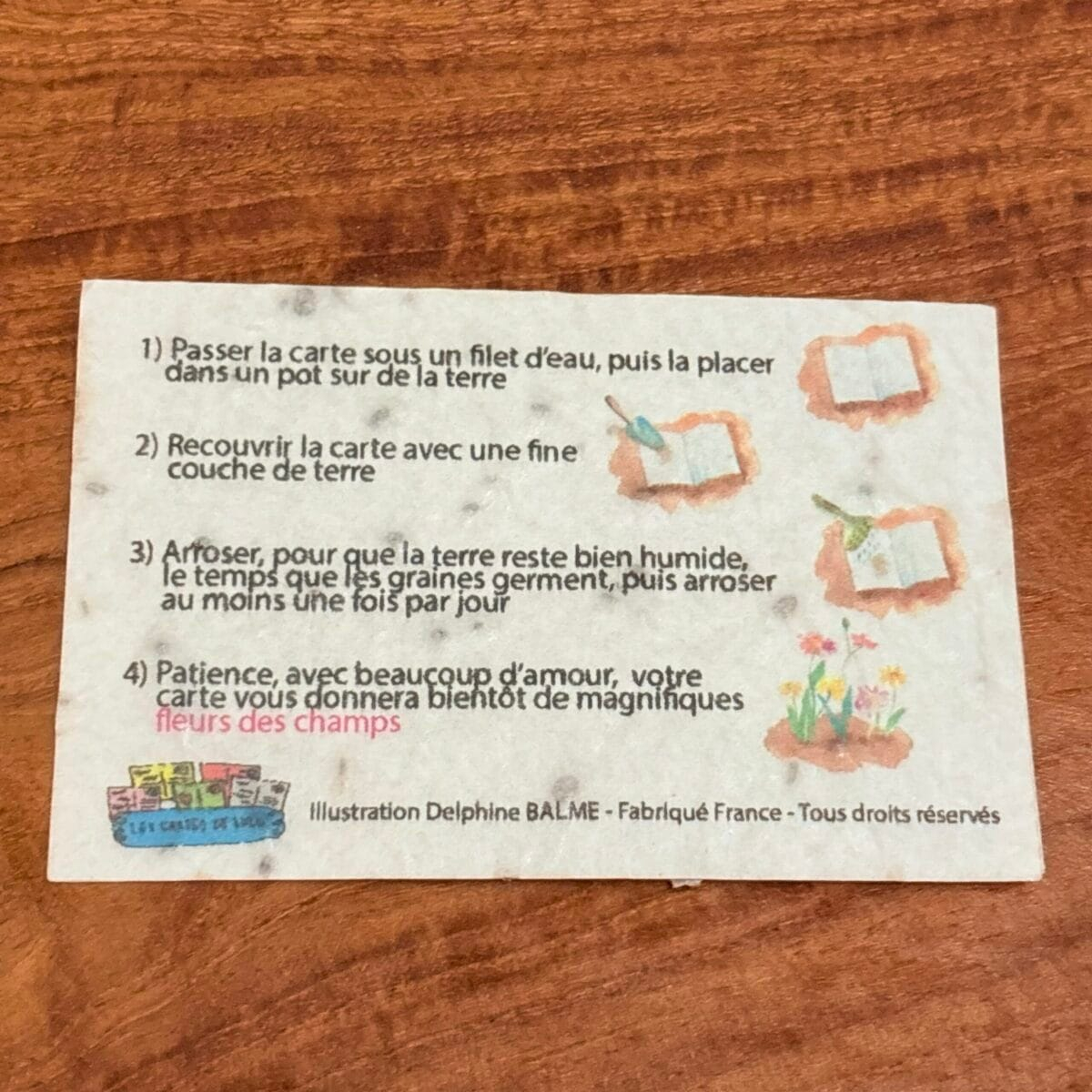 img_5029 Mini Carte à planter « félicitations »