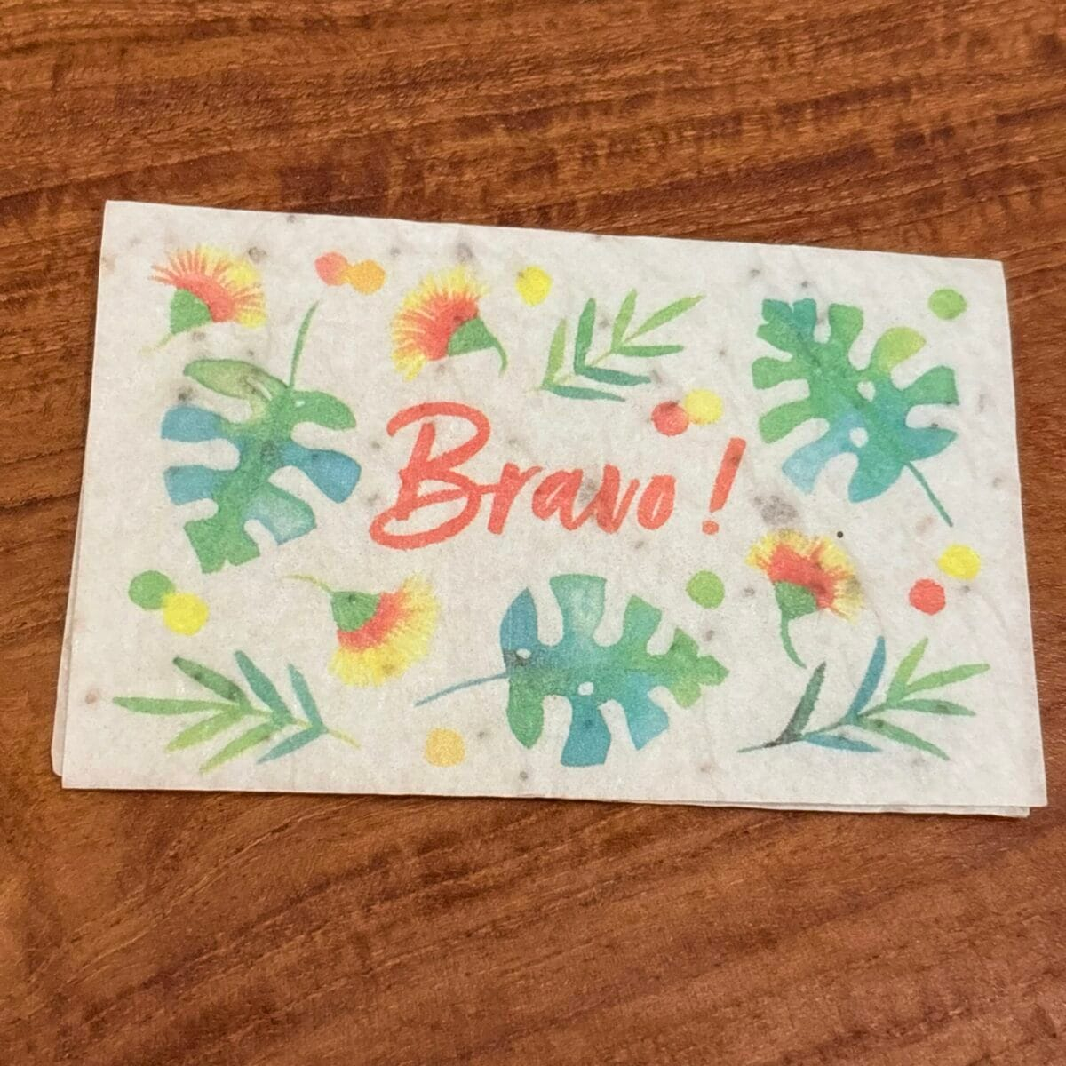 img_5030 Mini carte à planter « bravo »