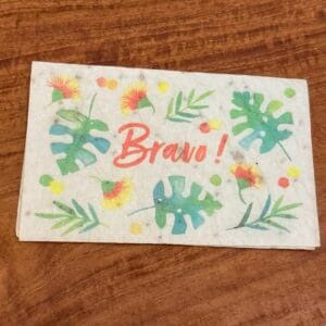 img_5030 Mini carte à planter « bravo »