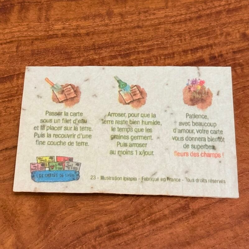 img_5033-3 Mini carte à planter « maman »