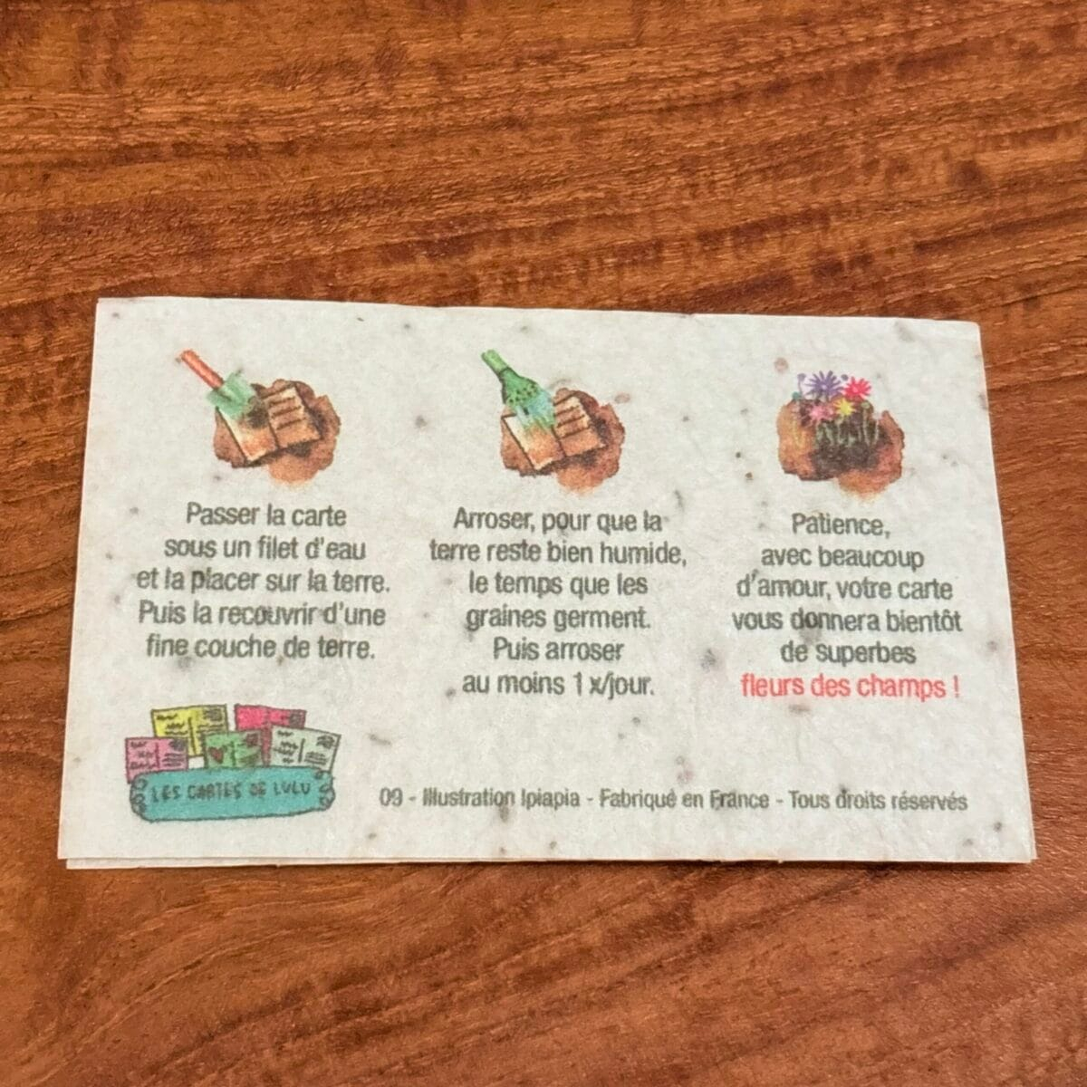 img_5038 Mini carte à planter « bonne fête »