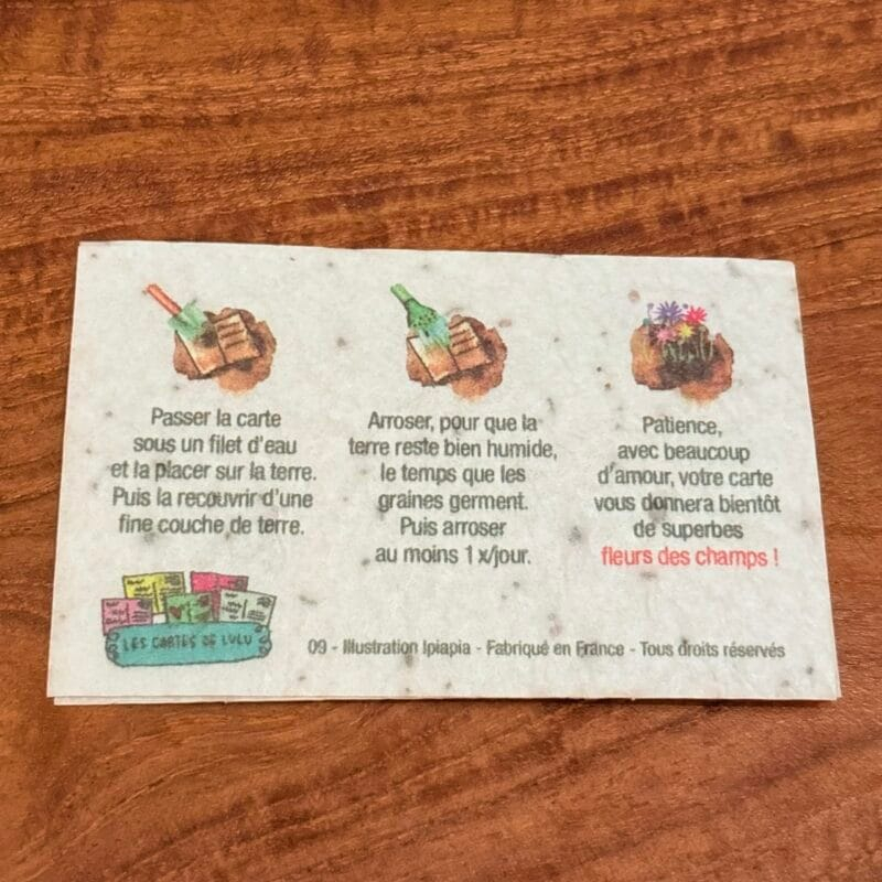 img_5038 Mini carte à planter « bonne fête »