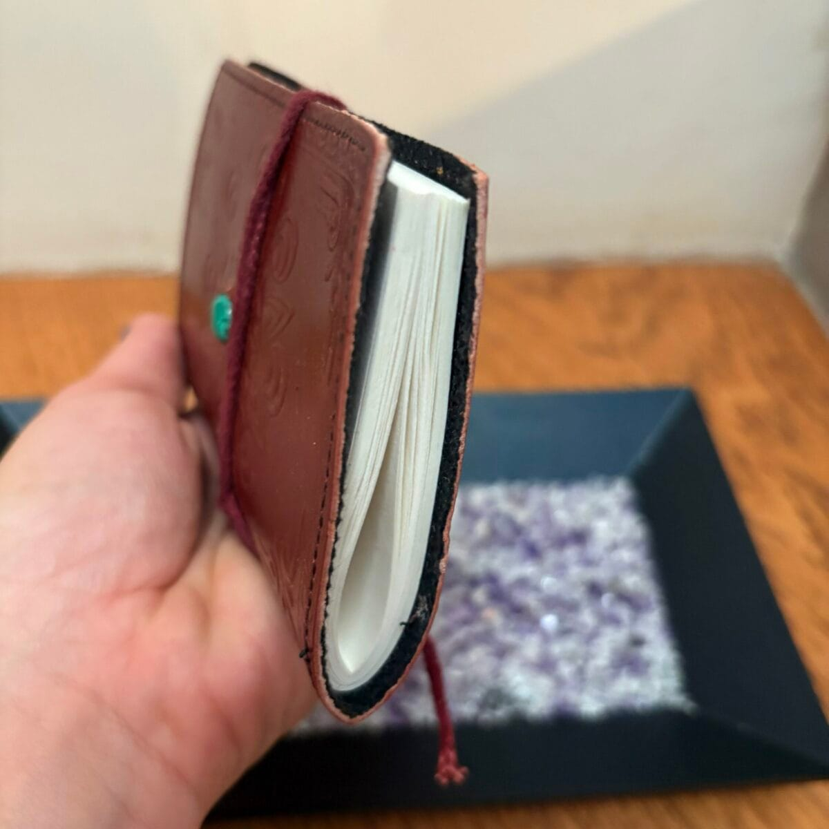 img_5912 Énergie Lunaire