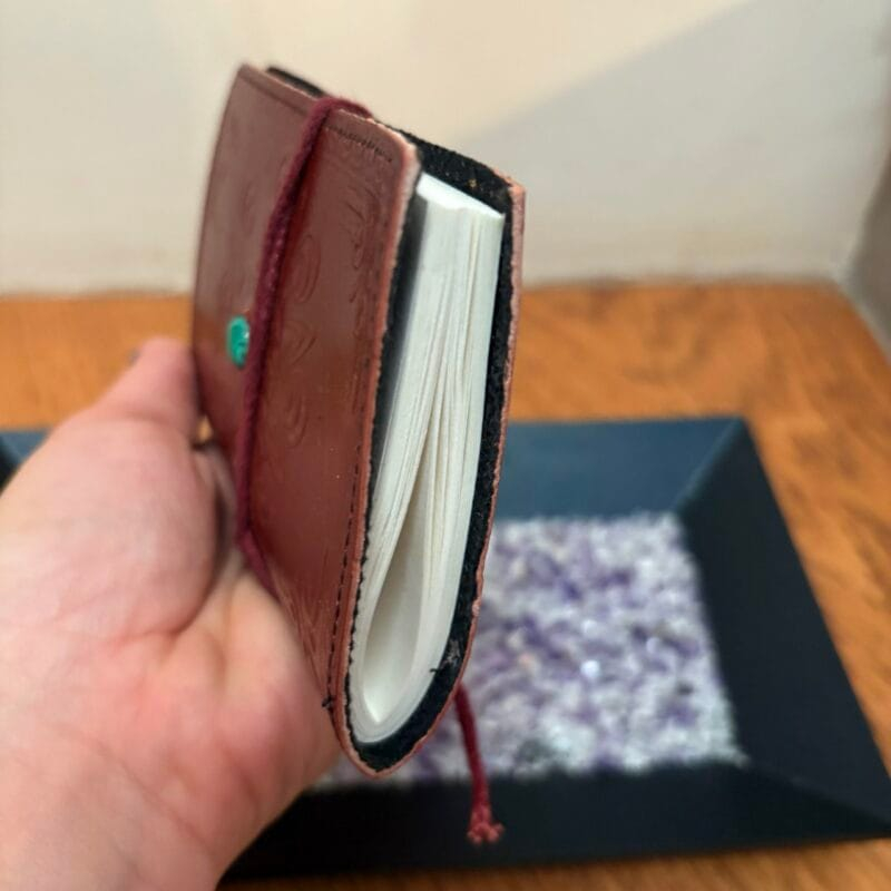 img_5912 Énergie Lunaire