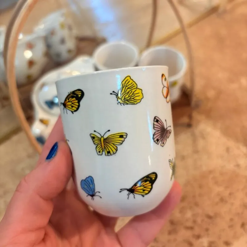 L’Instant Papillon