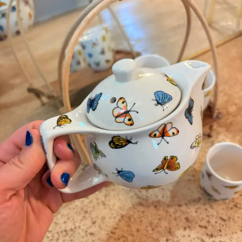 L’Instant Papillon