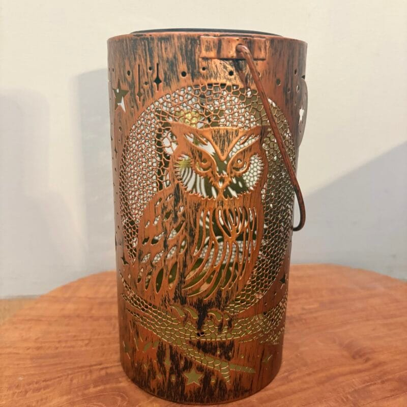 img_8249-2 Lampe solaire hibou