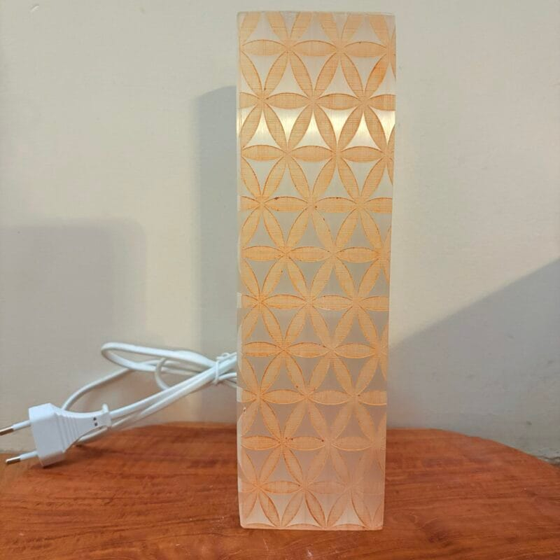 img_8257 Lampe sélénite fleur de vie