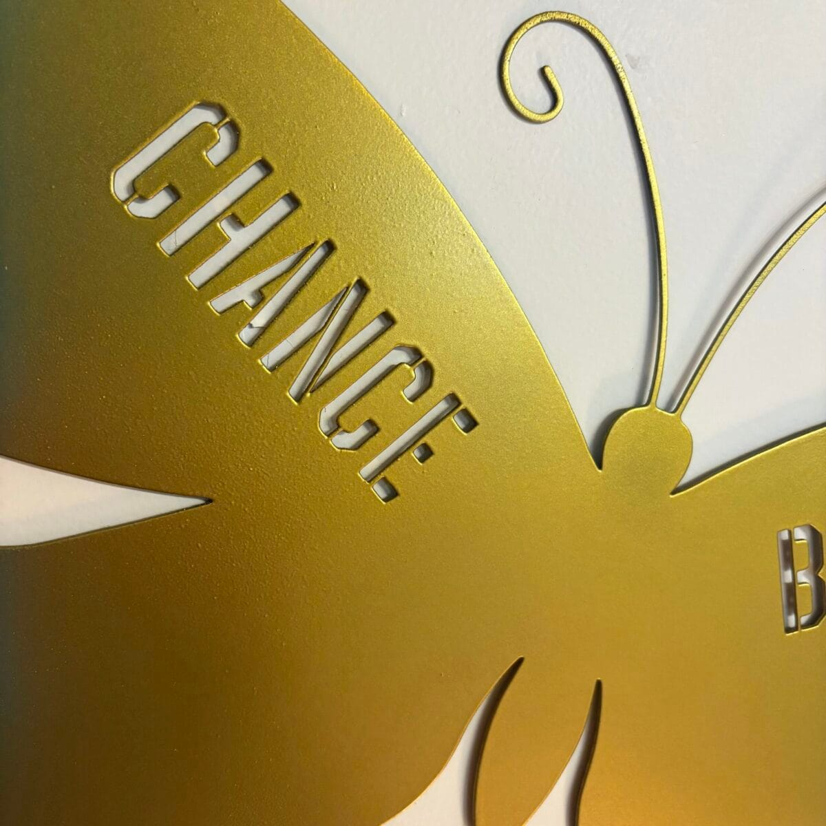 img_8266 Papillon – Chance & Bonheur