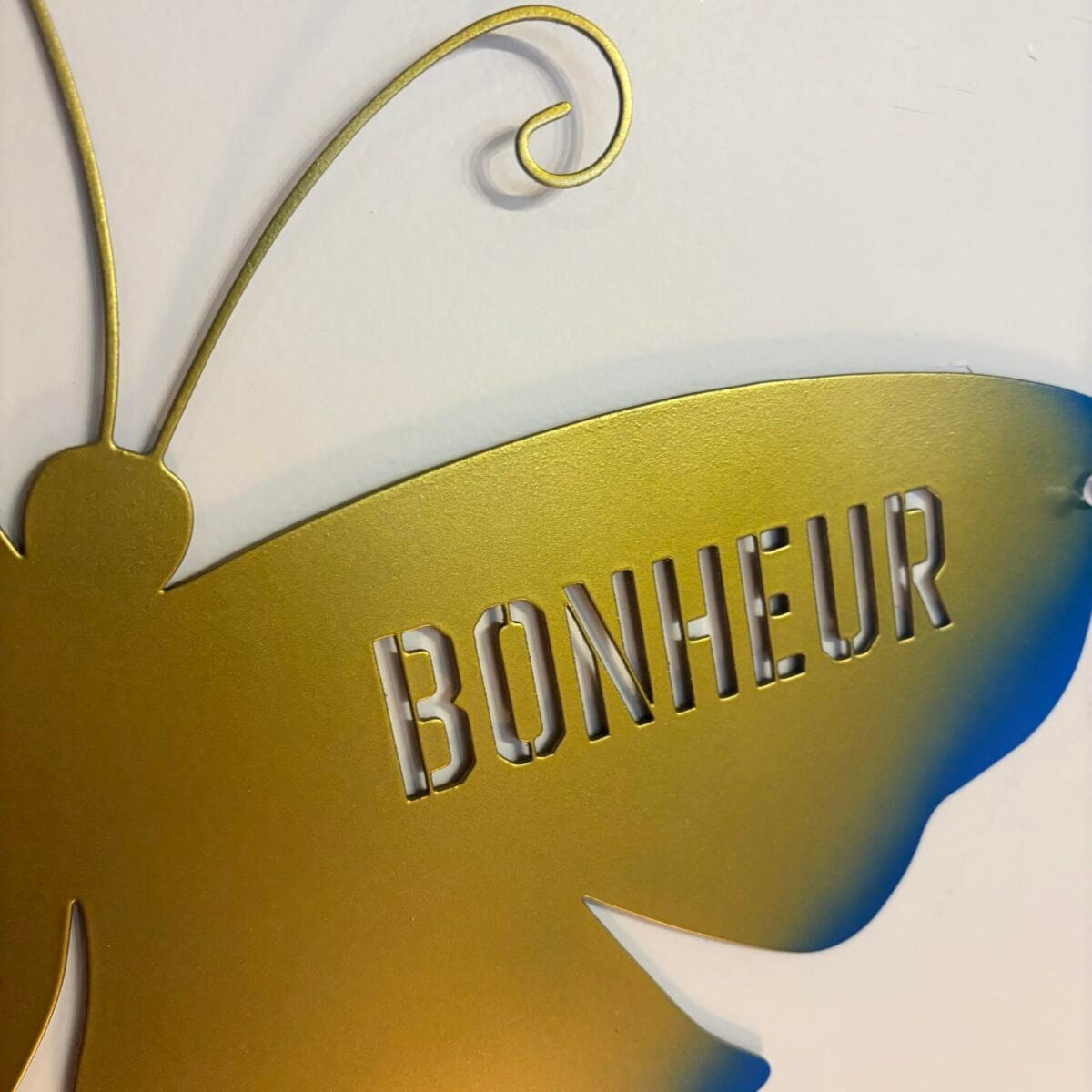 img_8267 Papillon – Chance & Bonheur