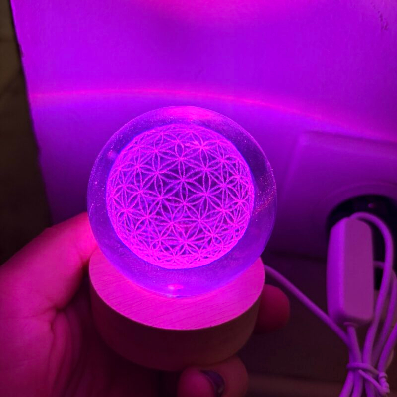 Boule en verre – Tortue