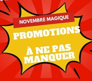 Crayon à planter - immortelle à bractées