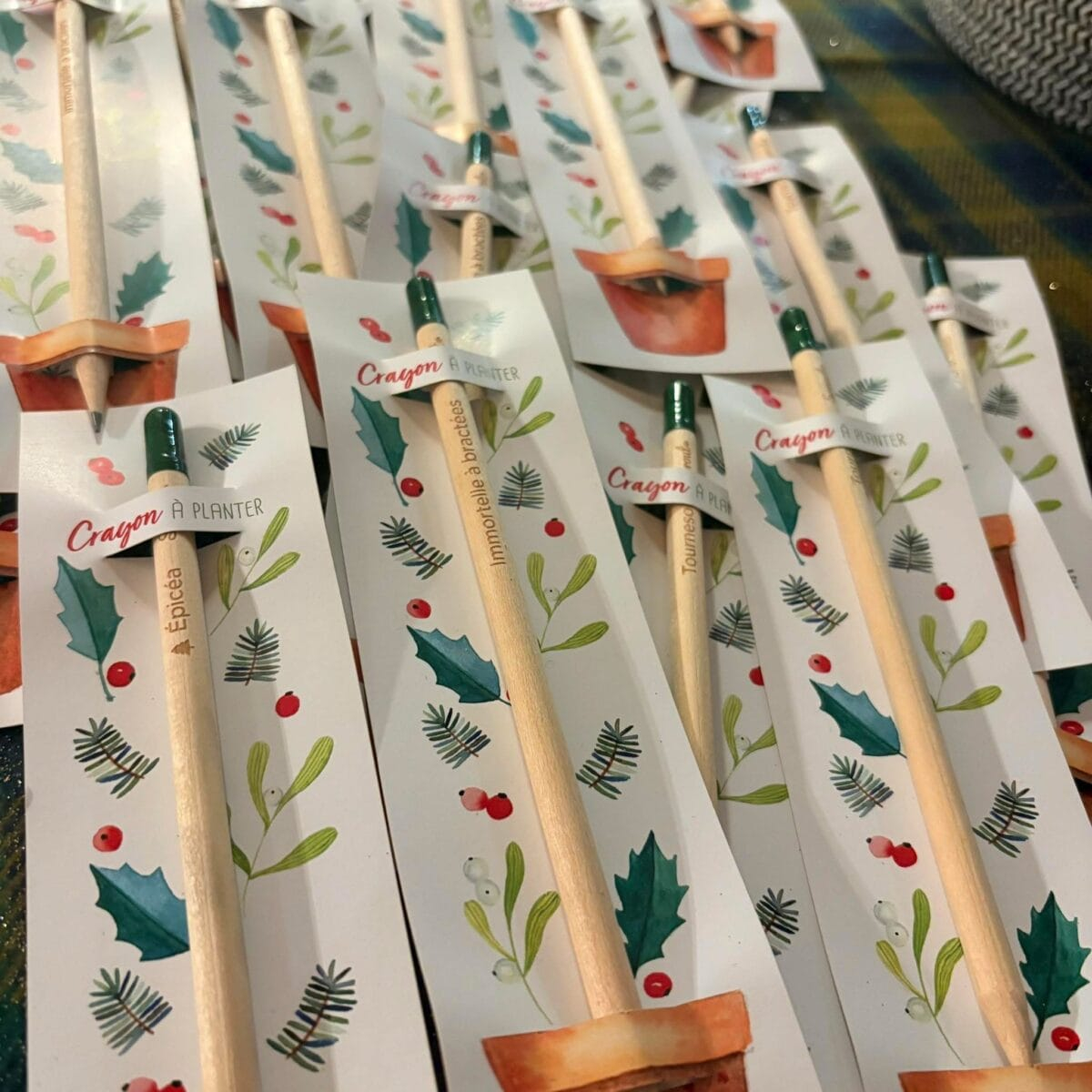 Crayon à planter - tournesol