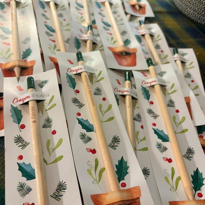 Crayon à planter - tournesol