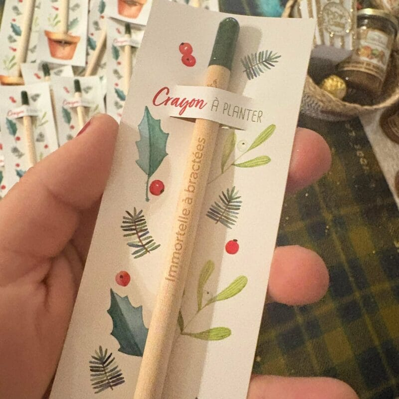 Crayon à planter - tournesol