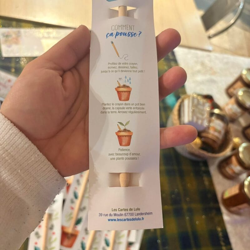 Crayon à planter - tournesol