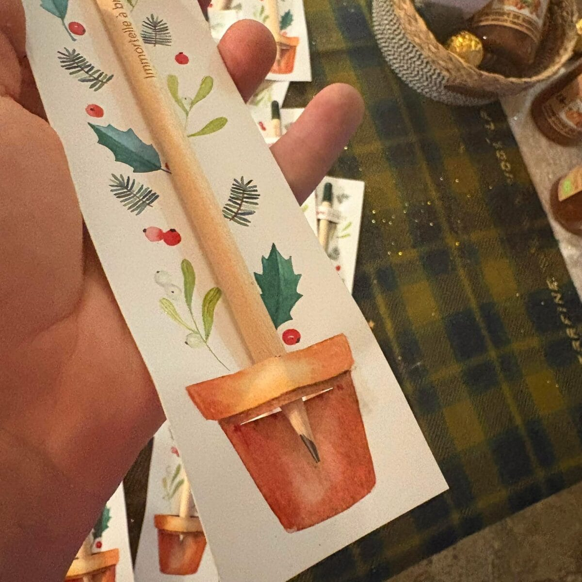 dda4fe3e-09fa-464e-88ec-e438fa222548-2 Crayon à planter - immortelle à bractées