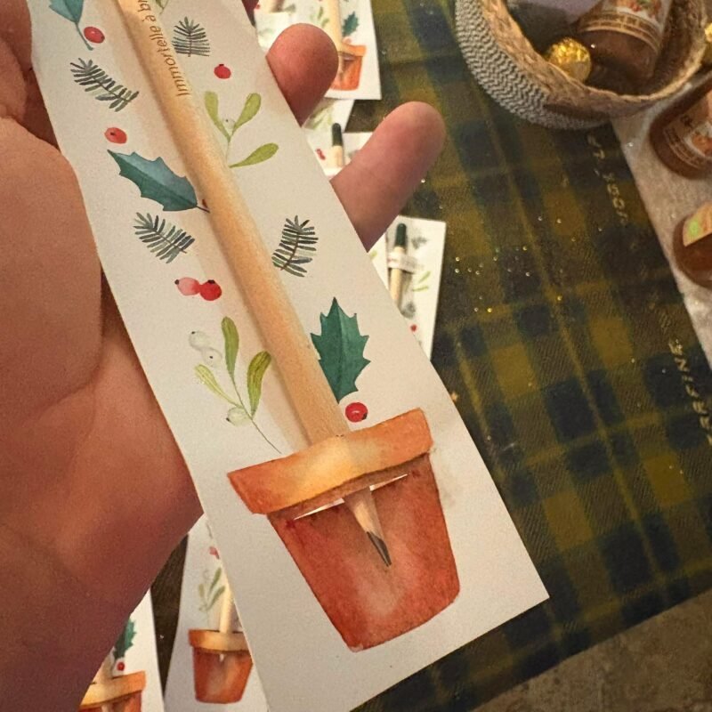 dda4fe3e-09fa-464e-88ec-e438fa222548-2 Crayon à planter - immortelle à bractées