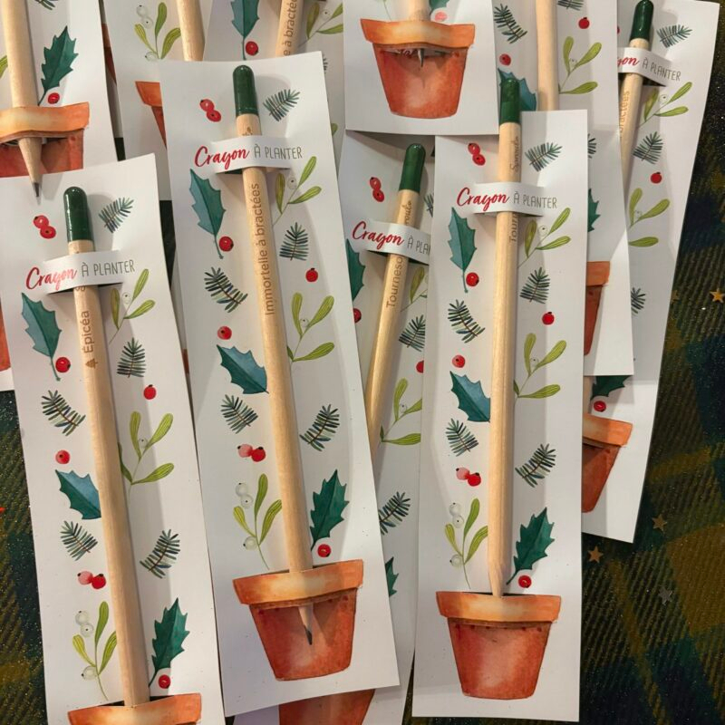 Crayon à planter - tournesol