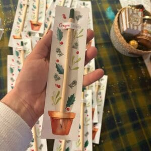 Crayon à planter - épicéa