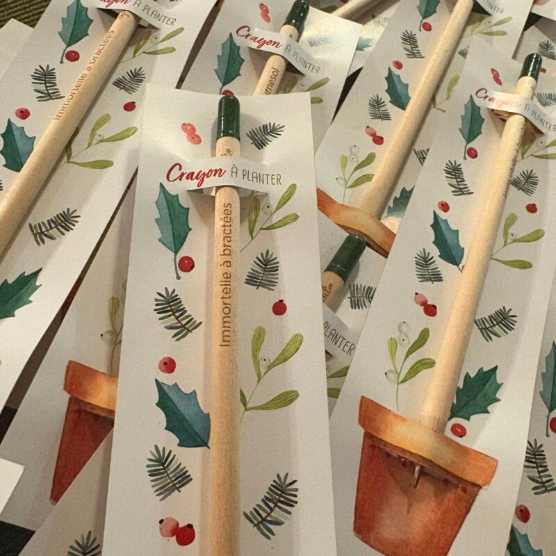 img_9861 Crayon à planter - épicéa